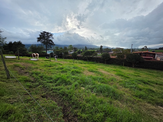3 Bedrooms Bedrooms, 0 ,2 BathroomsBathrooms,Finca,En Venta,0,3835