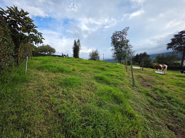 3 Bedrooms Bedrooms, 0 ,2 BathroomsBathrooms,Finca,En Venta,0,3835