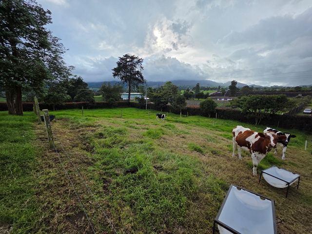 3 Bedrooms Bedrooms, 0 ,2 BathroomsBathrooms,Finca,En Venta,0,3835